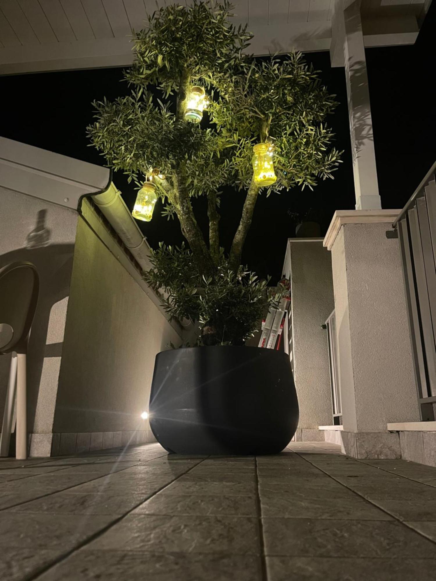 La Casa Di Filo Boutique Bed & Breakfast Roseto Degli Abruzzi Luaran gambar